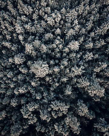 DJI_0144